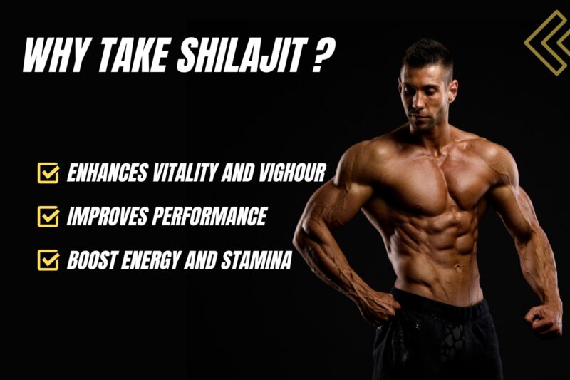 Shilaji Plus - Image 4